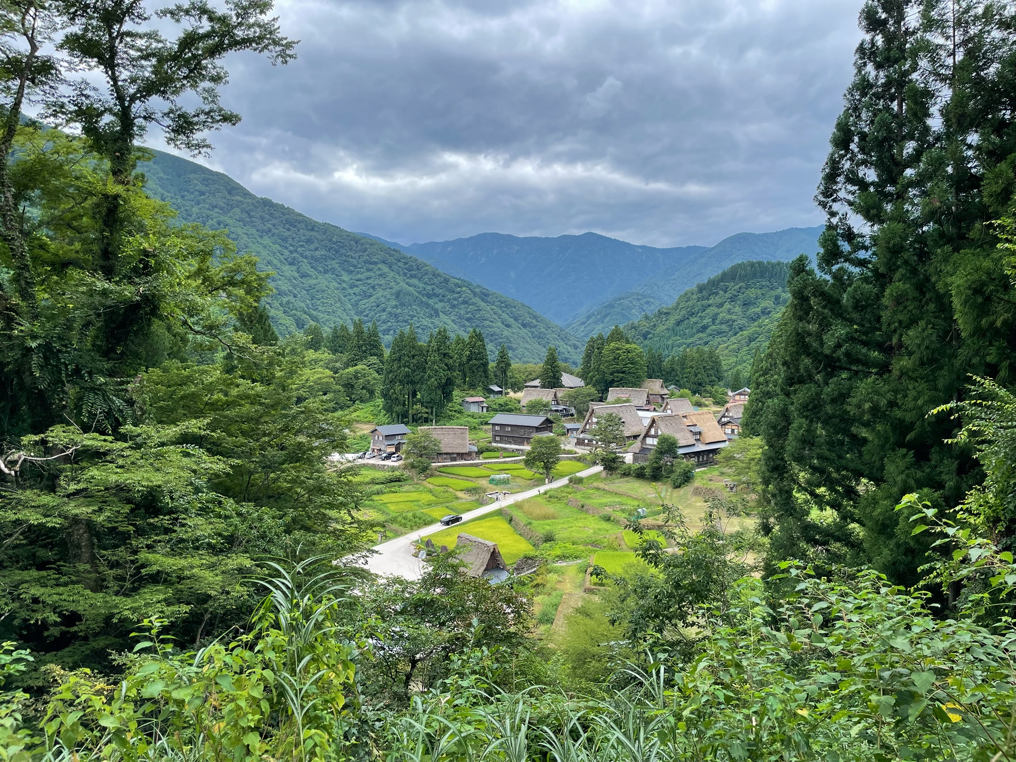 山あいに広がる集落と棚田の風景