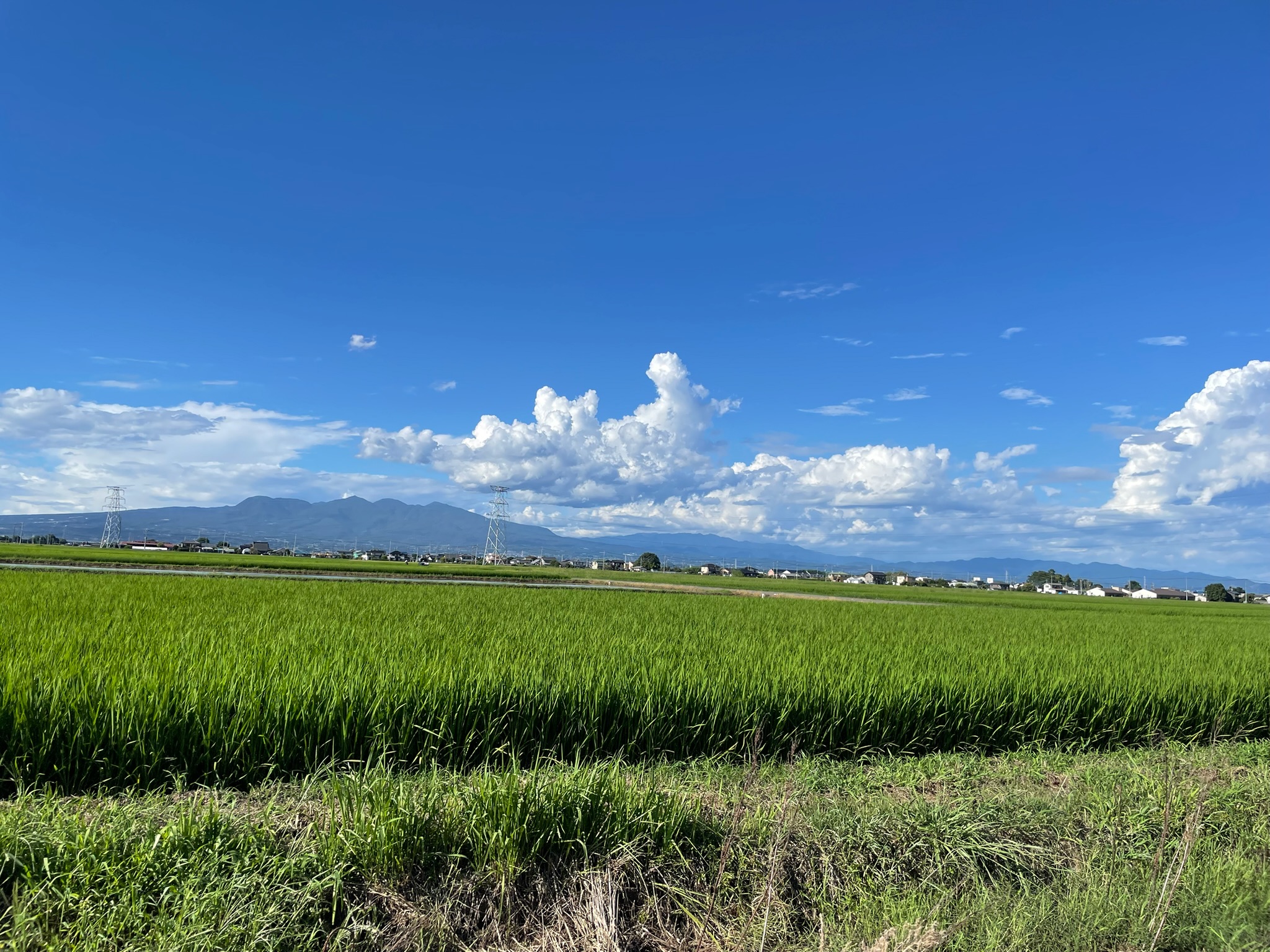 山々を望む田園風景と、その先に広がる集落