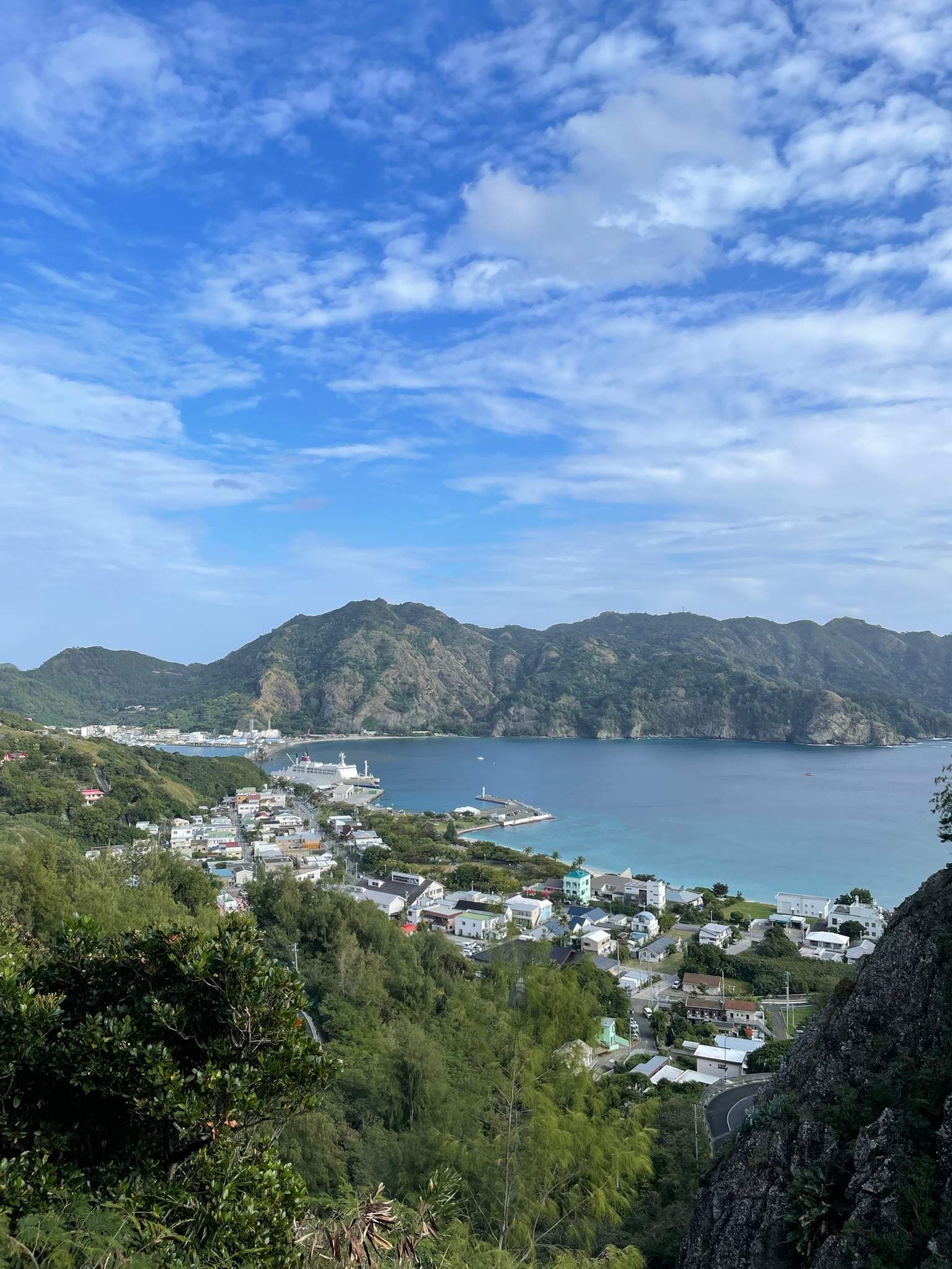 山に囲まれた入江と、海沿いに広がる町の風景