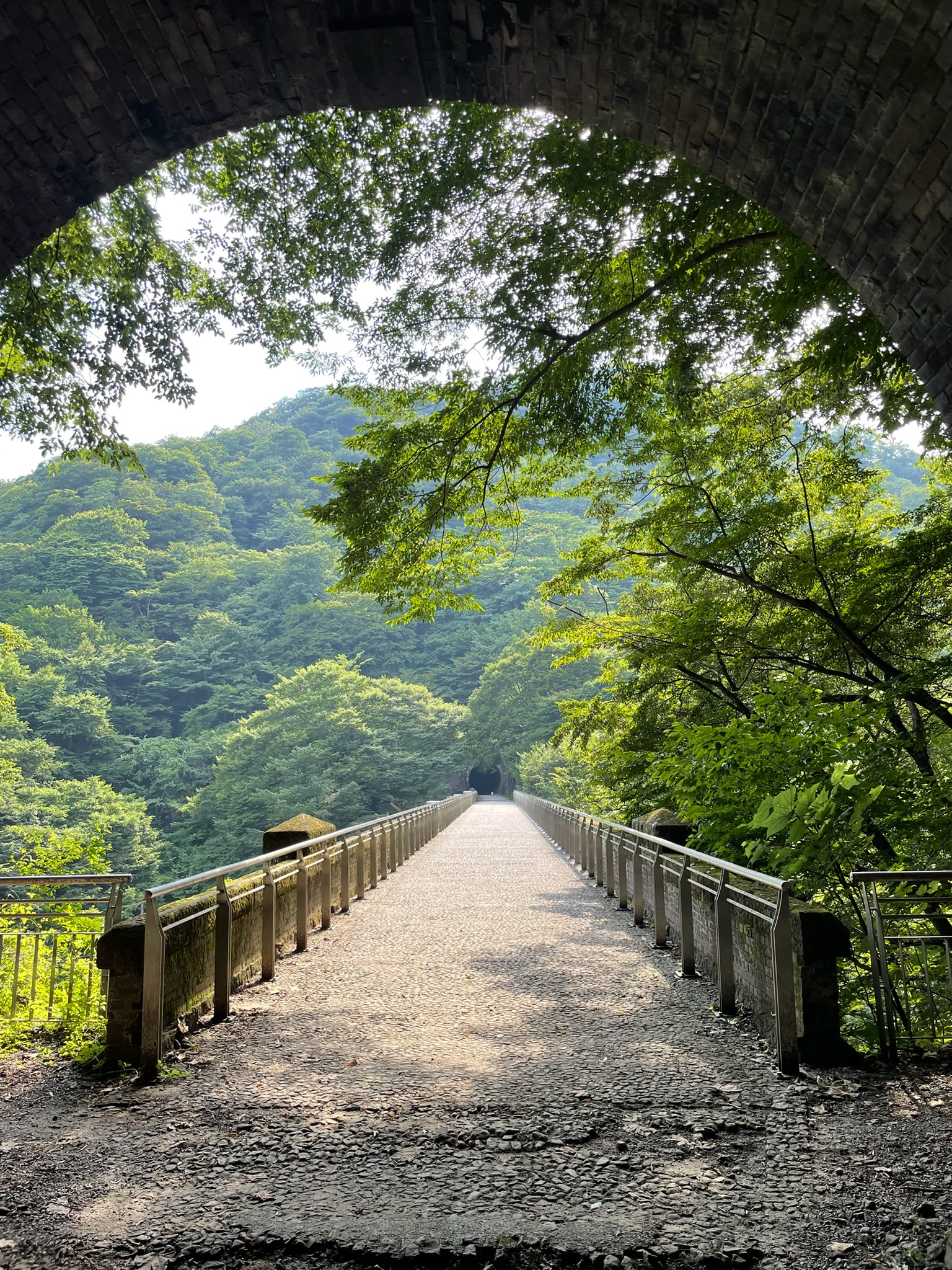 緑に囲まれたトンネルの先に続く一本道